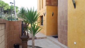 11.- Accés vivenda des del carrer Vilabertran2
